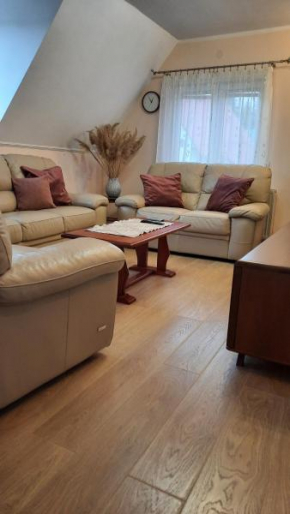 Apartment Home Popovic